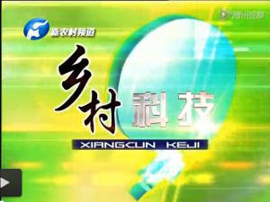 新農(nóng)村對電商【河南益農(nóng)】專題報(bào)道